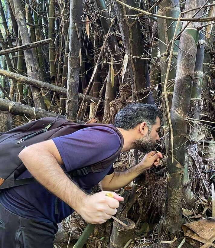 1 Day Trekking in Chiang Rai forest (walk only) - Bamboo cooking turns lunch into an activity