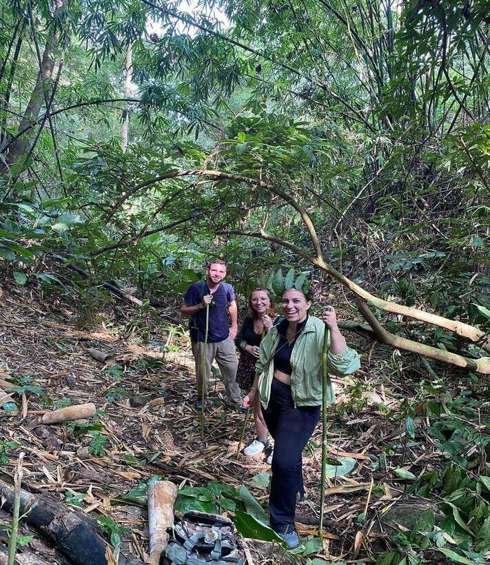1 Day Trekking in Chiang Rai forest (walk only) - Tea plantations, a Chinese village, and the return route