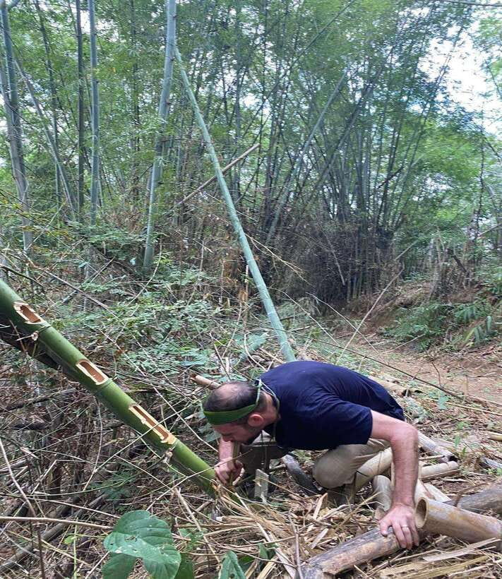 1 Day Trekking in Chiang Rai forest (walk only) - How hard is the five-hour walk?