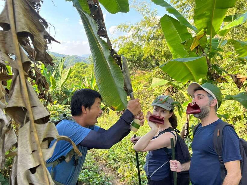 1 Day Trekking in Chiang Rai forest (walk only) - From hot springs to bamboo forest
