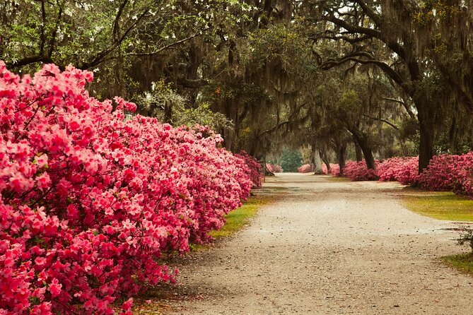 2-Hour Bonaventure Cemetery Walking Tour - The beauty of death and gardens