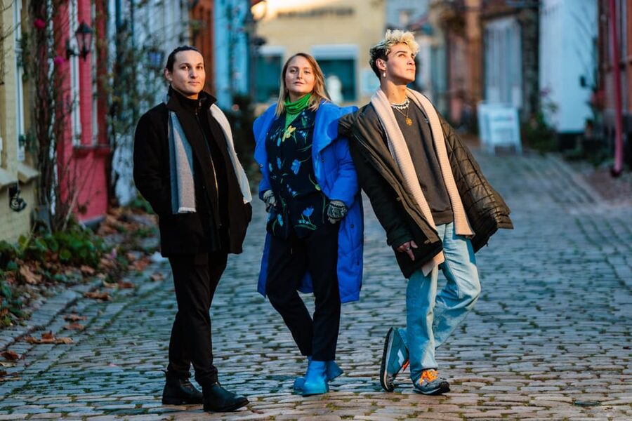 Aarhus Walking Tour: From Viking Village to Metropolis - What the $31 price gets you