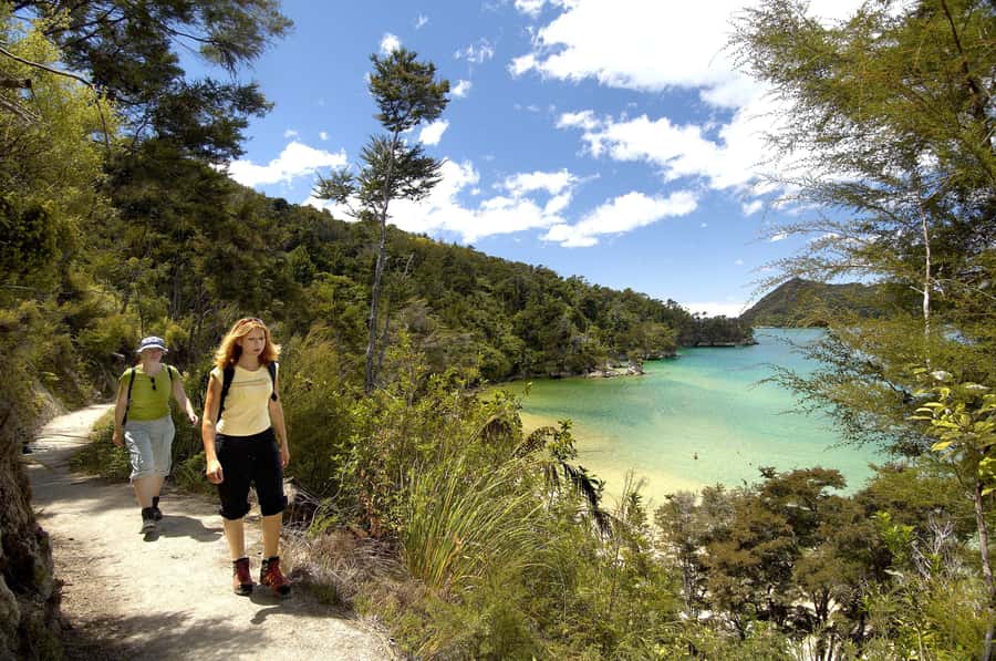 Abel Tasman National Park: Cruise, Walk & Sailing Tour - Should you book the Cruise, Walk and Sailing Tour?
