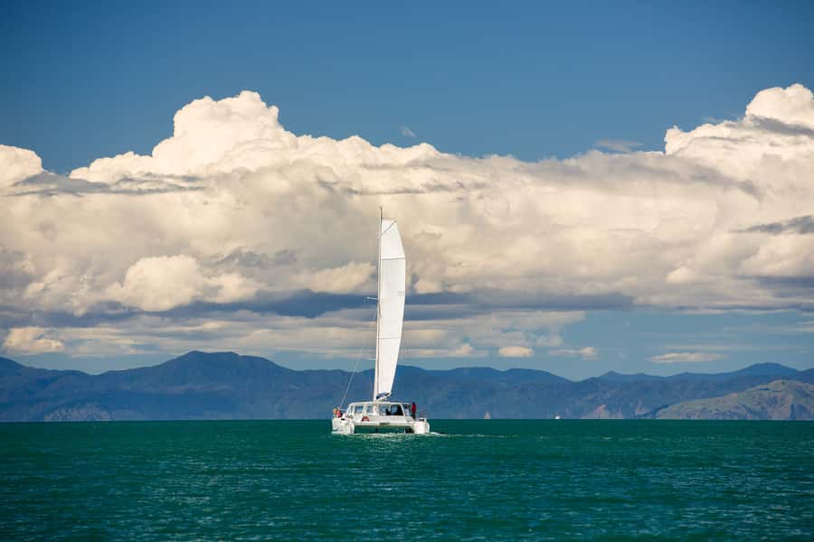 Abel Tasman National Park: Sailing and Self-Guided Walk - Anchorage Bay: lunch, swimming, and a clear choice
