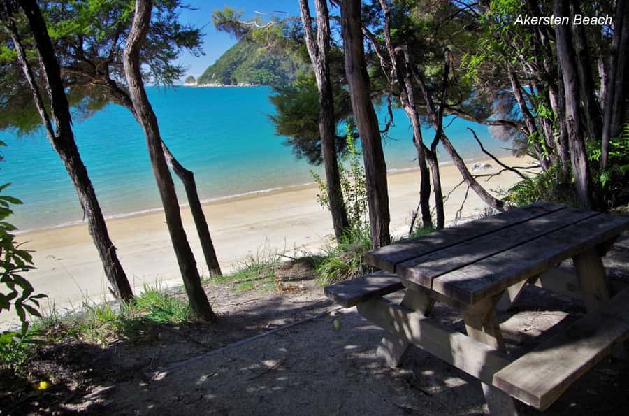 Abel Tasman: Sea Shuttle Cruise and Walking Tour Combo - Beaches, swimming, and time to slow down