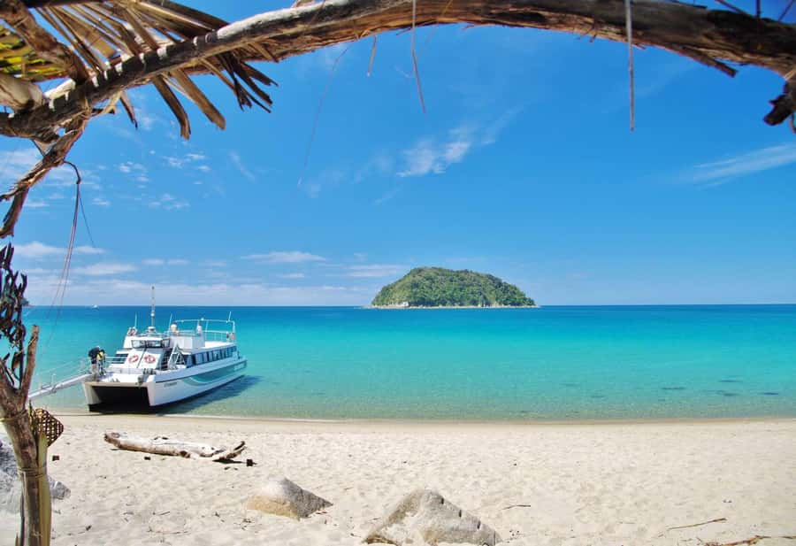 Abel Tasman: Sea Shuttle Cruise and Walking Tour Combo - Is $74 good value?