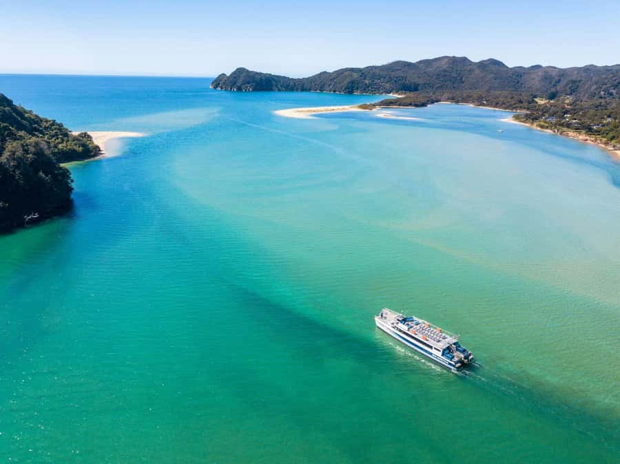 Abel Tasman: Sea Shuttle Cruise and Walking Tour Combo - Starting at Kaiteriteri Beach
