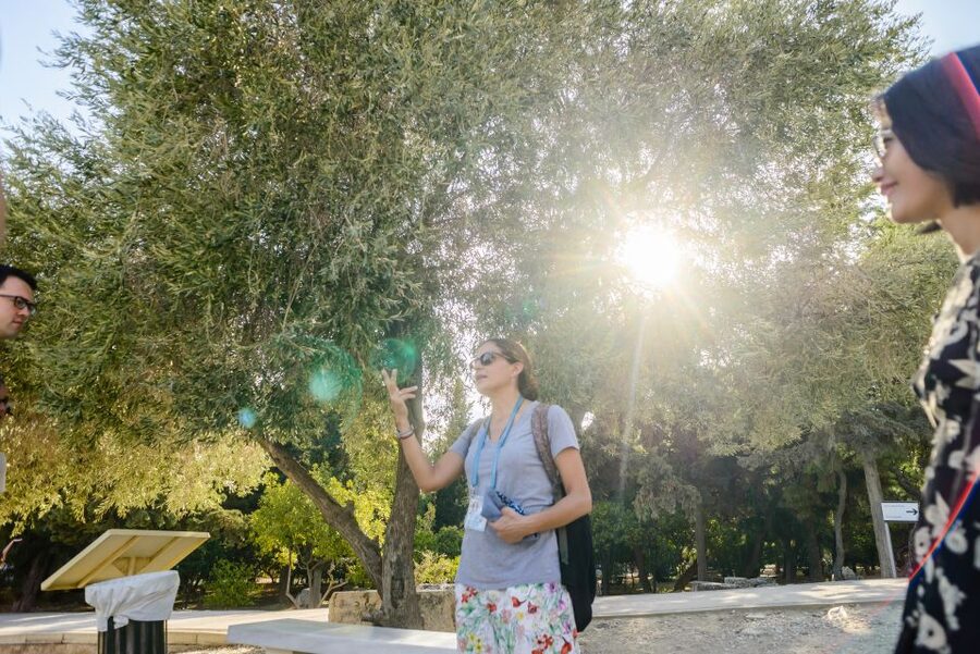 Acropolis: Acropolis and Parthenon Guided Walking Tour - Starting at Porinou 5 near the Acropolis Metro