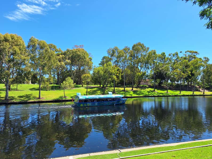 Adelaide: Guided Ultimate Walking Tour with Drink and Snack - Art, education, and the city’s reforming spirit