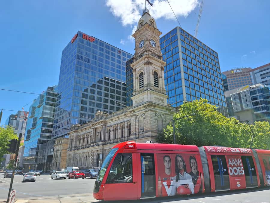 Adelaide: Guided Ultimate Walking Tour with Drink and Snack - Who will get the most from this Adelaide walk