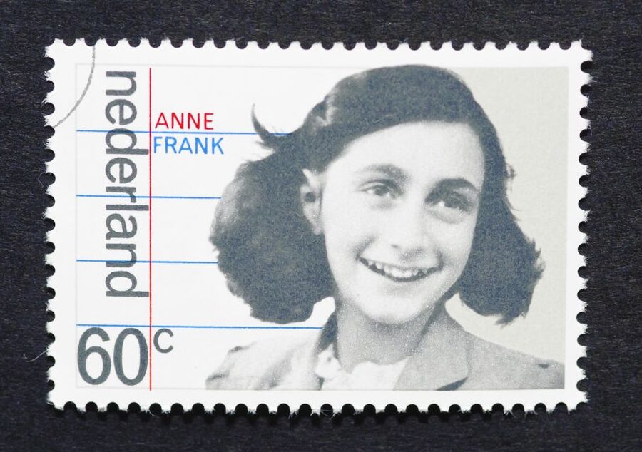 Amsterdam Anne Frank: Small-Group Walking Tour & Local Guide - Price, pace, and physical demands