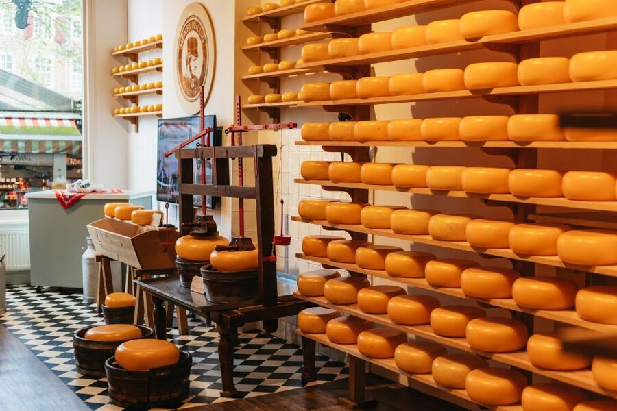 Amsterdam: Food and Culture Walking Tour with Tastings - Who will get the most from this tour