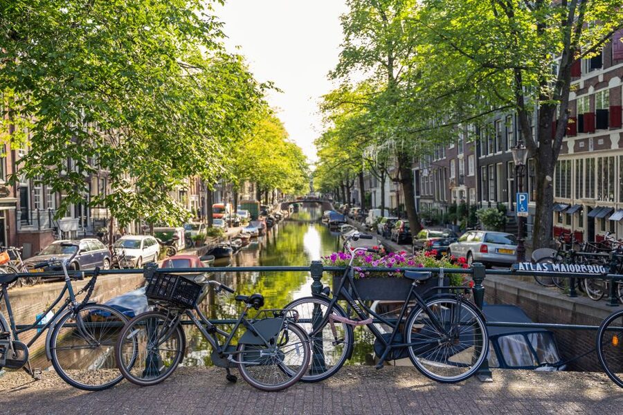 Amsterdam Small-Group Walking Tour - Why this walk works as an Amsterdam introduction