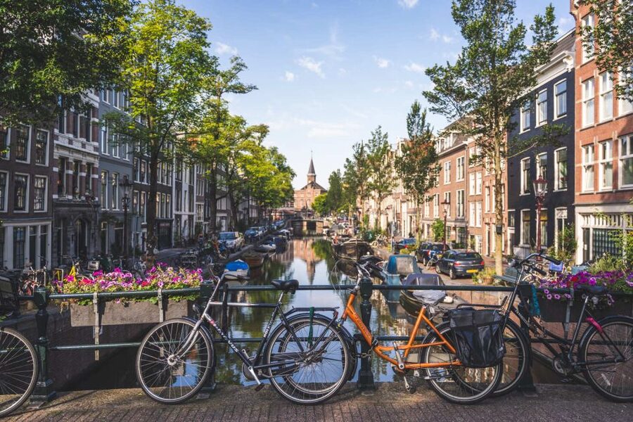 Amsterdam Small-Group Walking Tour - The Flower Market and Muntplein