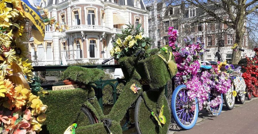 Amsterdam Walking Tour and Canal Cruise - Museums and major sights as useful orientation points