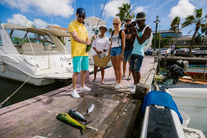 Aruba Downtown Historic and Cultural Walking Tour - Oranjestad’s mansions, Main Street, and old shops