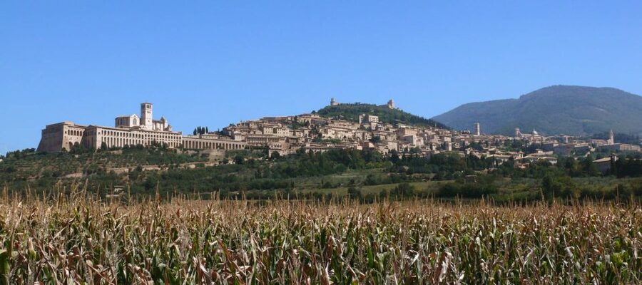 Assisi: Walking Tour with St. Francis Basilica Visit - Why this Assisi walk works