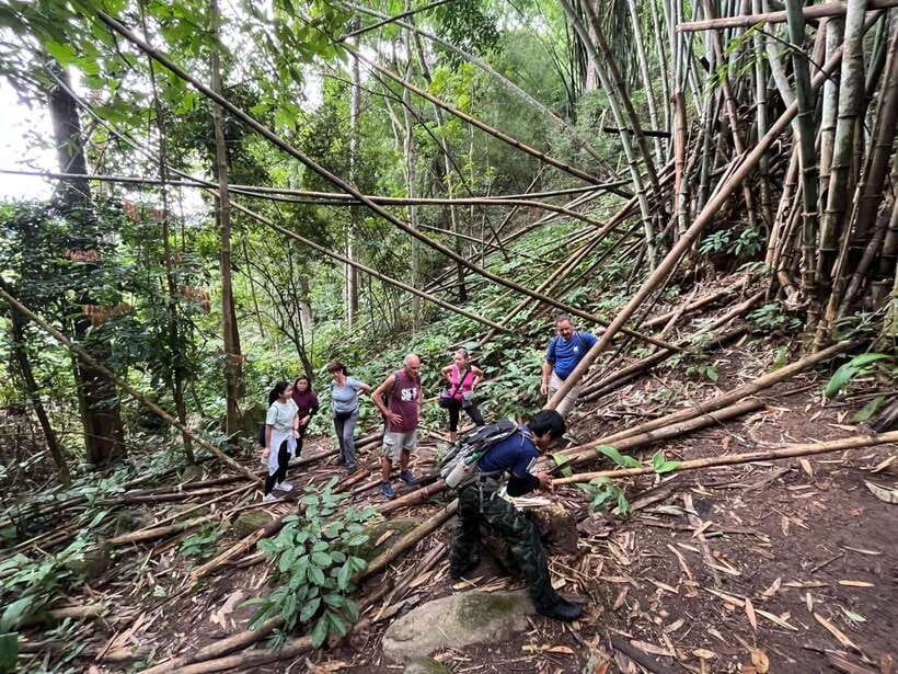 Authentic trek only walk in Chiang Rai jungle - How hard is the hiking?