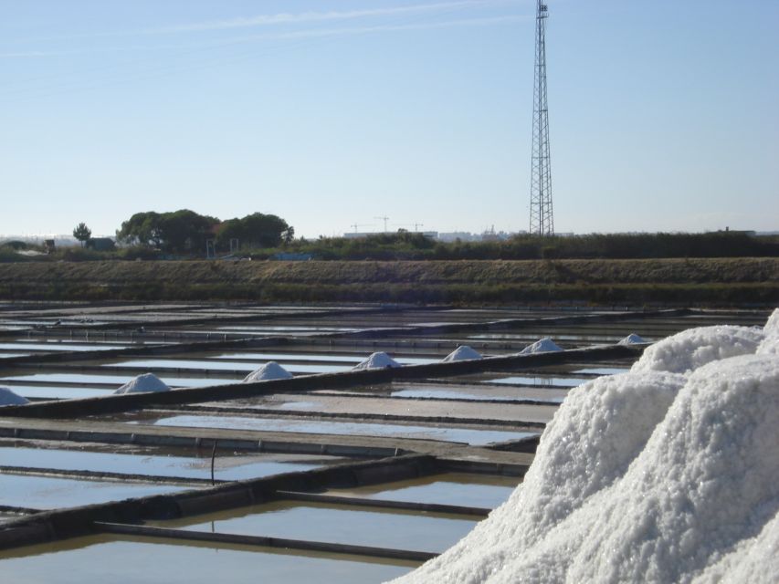 Aveiro: Walking Tour, Boat Cruise, Sweets & Church Entrance - Ovos Moles and the Taste of Aveiro