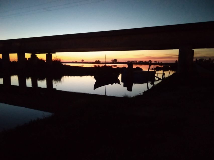 Aveiro: Walking Tour, Boat Cruise, Sweets & Church Entrance - Walking Through Beira Mar’s Fishermen’s Streets