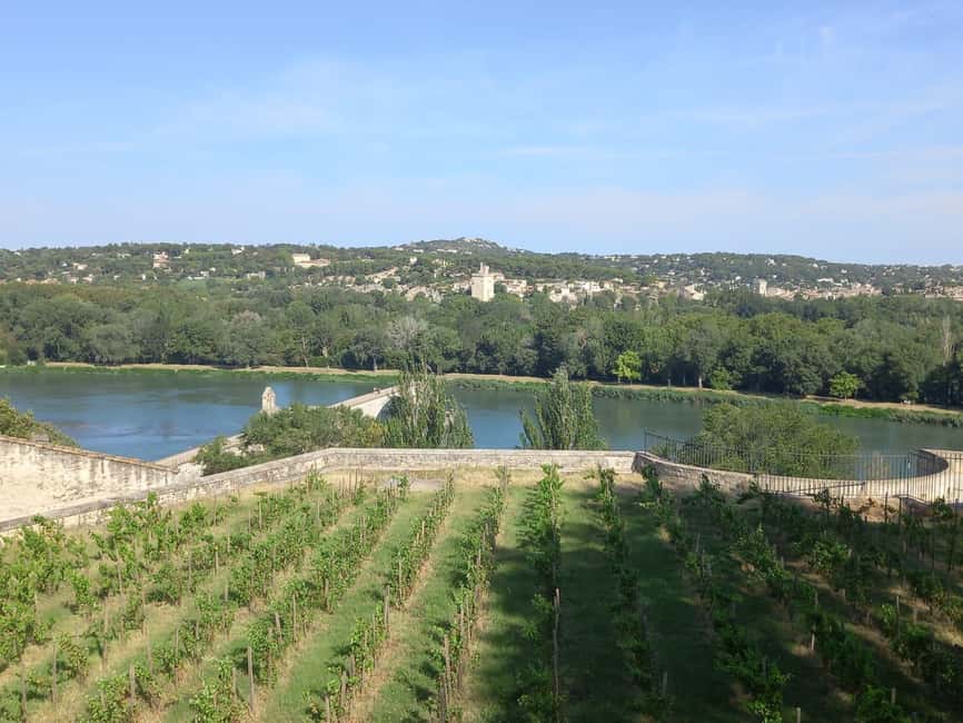 Avignon: City Walking Tour with Popes Palace Entry - Who will enjoy this Avignon walk?