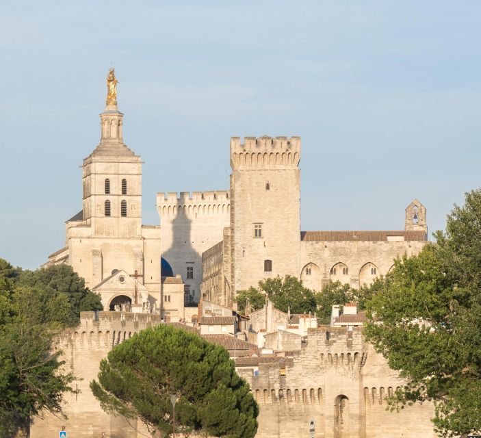 Avignon: City Walking Tour with Popes Palace Entry - Practical advice for a smoother visit