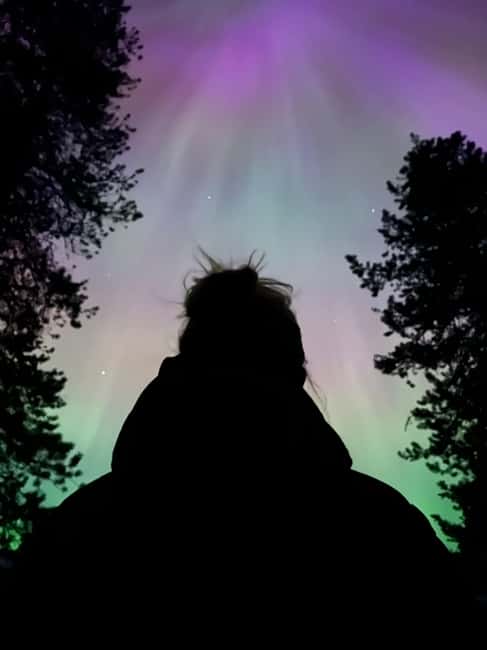 Banff: Guided Sunset and Stargazing Tour - Headlamps, bears, and the nighttime forest
