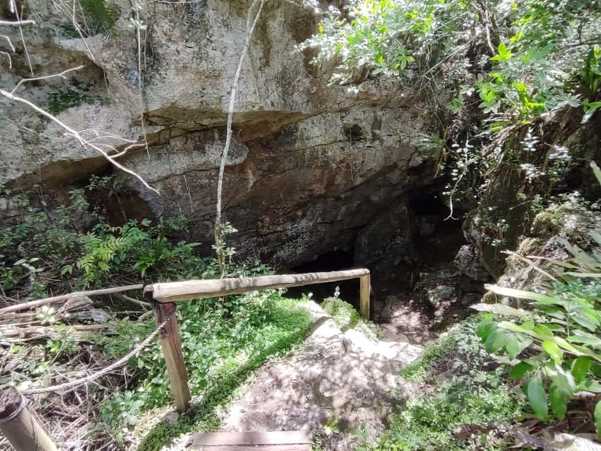 Bayahibe: National Park Jungle Walk & Snorkeling in Cenotes - What the $55 price includes