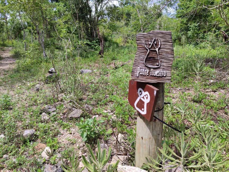 Bayahibe: National Park Jungle Walk & Snorkeling in Cenotes - Who will enjoy this outing most