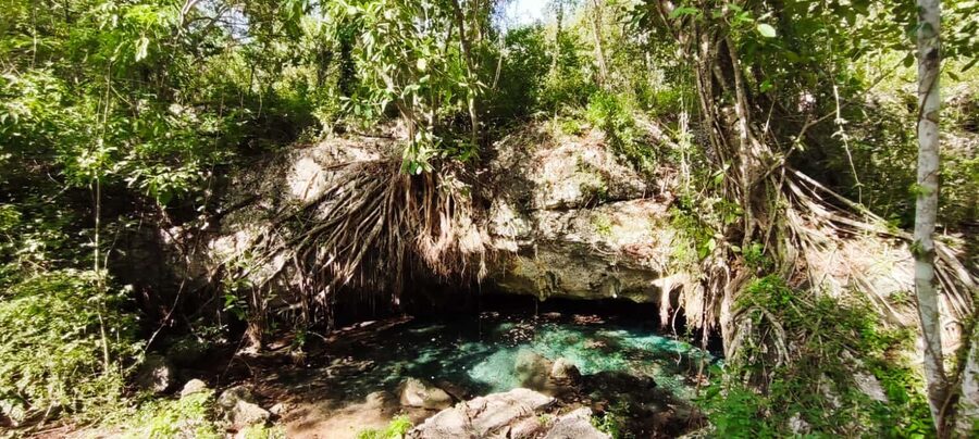 Bayahibe: National Park Jungle Walk & Snorkeling in Cenotes - What to bring for a smoother day