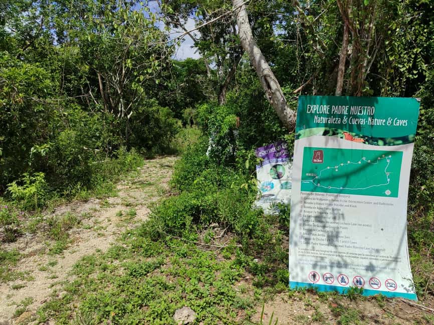 Bayahibe: National Park Jungle Walk & Snorkeling in Cenotes - Booking flexibility and timing