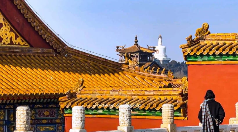 Beijing: Highlights of Forbidden City Private Walking Tour - Practical details that matter on the day