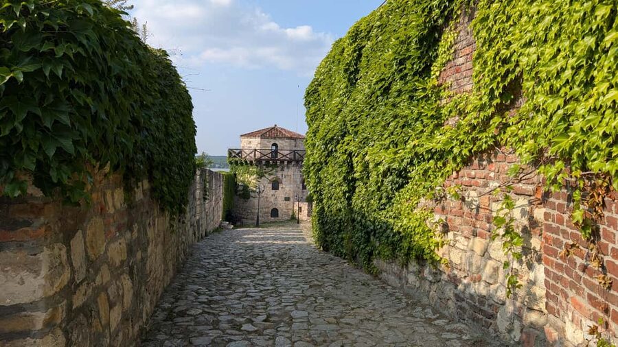 Belgrade: 3-Hour Serbian History Walking Tour - Kalemegdan Park and the meeting of the rivers