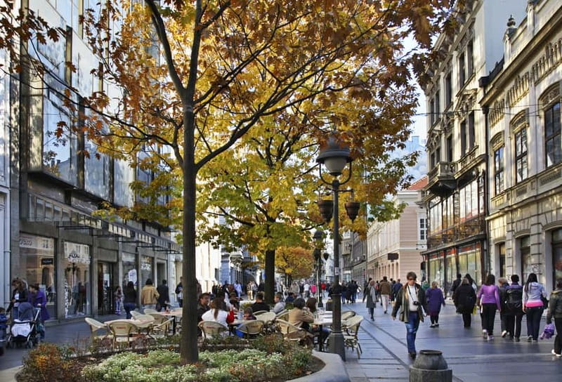 Belgrade: Shared Group or Private Guided Walking Tour - Knez Mihailo Street and the shift toward old Belgrade