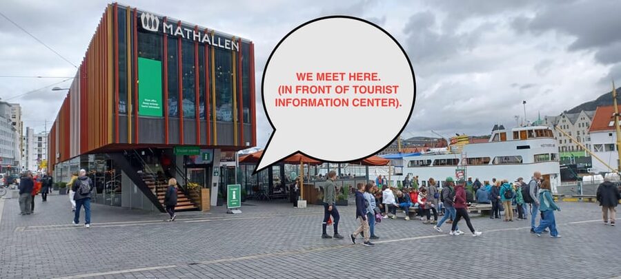 Bergen: Sightseeing Walking Tour with Ferry Ride - The 30-minute ferry ride changes the picture