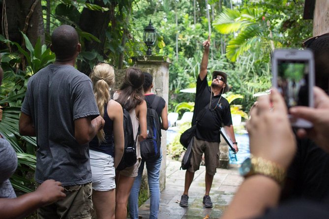 Bites of Nassau Food and Walking Tour - The guides make a real difference