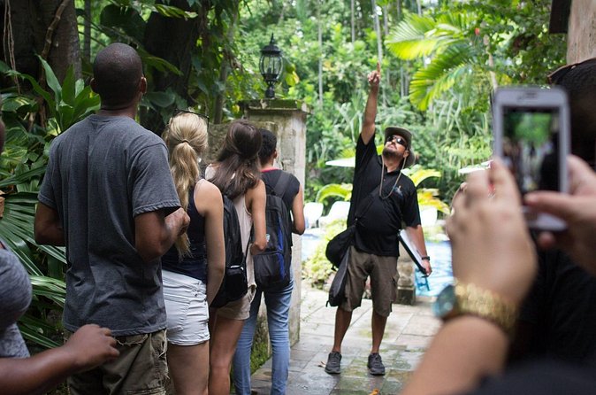 Bites of Nassau Food and Walking Tour - What the three hours feel like