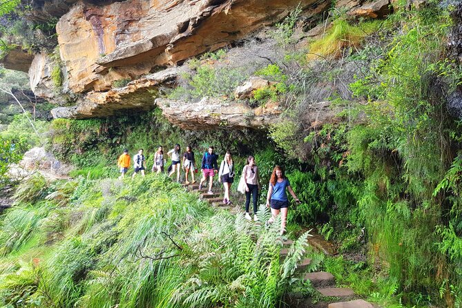 Blue Mountains Small Group Tour with Waterfall Walk & Fresh Lunch - Why this Blue Mountains tour works well