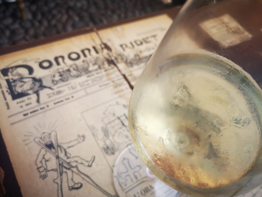 Bologna: City Center Guided Wine Walking Tour - Key points at a glance