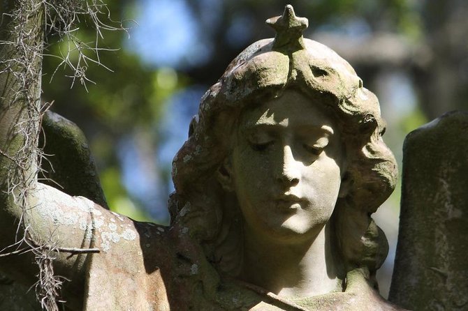 Bonaventure Cemetery Walking Tour with Transportation - Walking the Historic Section of Bonaventure