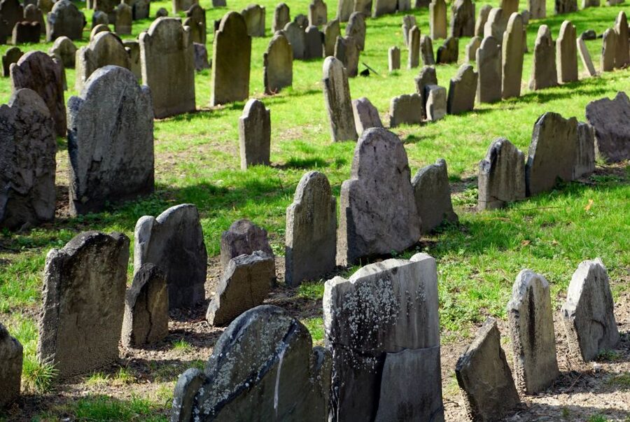 Boston: Freedom Trail History Small Group Walking Tour - Is $35 a good value?