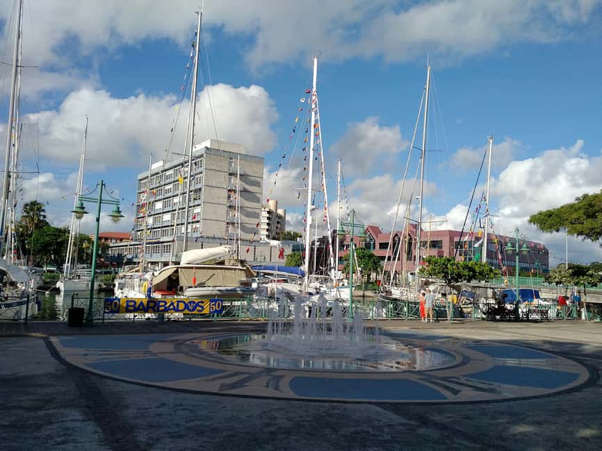 Bridgetown: A Guided Walking Tour of The History of a City - What the $25 price buys you