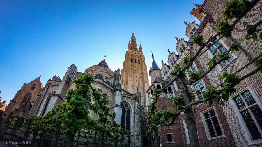 Bruges: Private Historical Highlights Walking Tour - Fish Market, Half Moon Brewery, and lesser-known corners