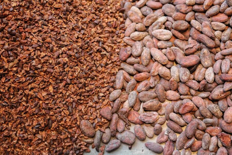 Brussels: Chocolate Appreciation and Tasting Walking Tour - From central Brussels to Saint Catherines