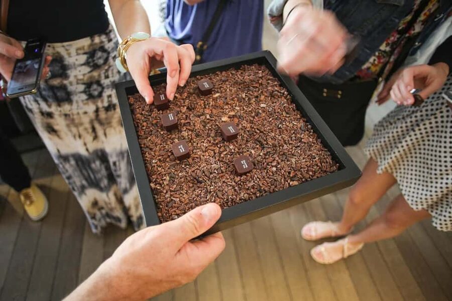 Brussels: Chocolate Appreciation and Tasting Walking Tour - Who will enjoy this chocolate walk?