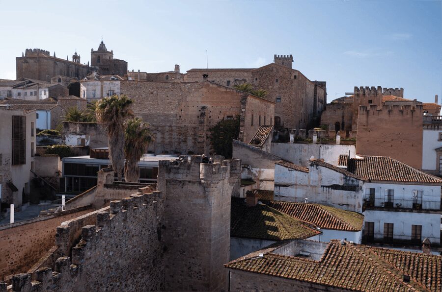Cáceres: City Highlights Walking Tour with Local Guide - Inside Carvajal Palace