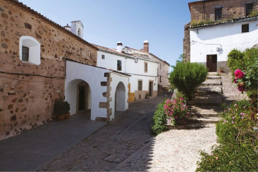 Cáceres: City Highlights Walking Tour with Local Guide - The House of the Becerra and Mercedes Calles