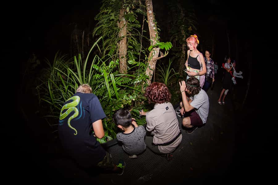 Cairns: Night Walk in Cairns Botanic Gardens - What Bridgette and Ros add to the evening