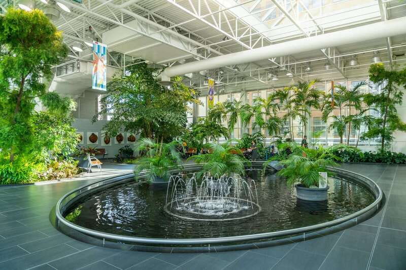 Calgary: City Highlights Walking Tour | 3-Hour - Meeting at The Edison and finding your guide