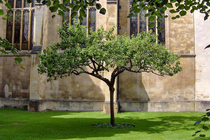 Cambridge: University Walking Tour - The Corpus Clock and Cambridge’s stranger details